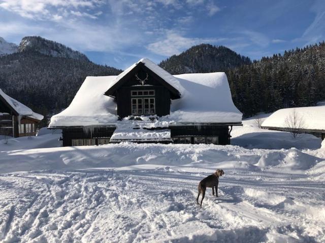 Die Alte Blaa Altaussee Exterior foto